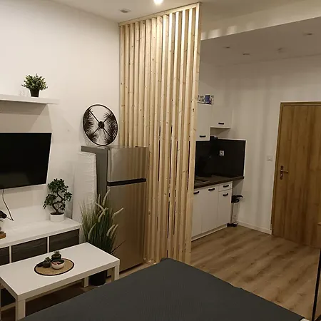Apartment Tres Agreable Roubaix